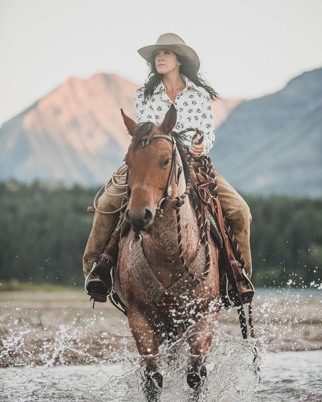 Vaquera Sunshirt 2.0 - Whip & Irons