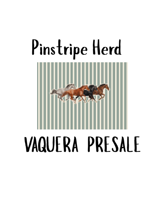 Vaquera Sunshirt - Pinstripe Herd